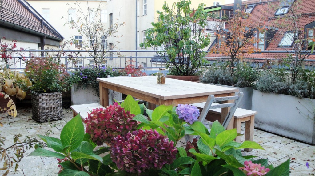 terrasse4