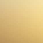 Sugarpop’s End-of-the-Year-Review