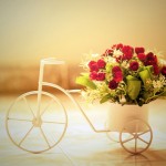 VALENTINE’S DAY – LAST MINUTE GIFTS